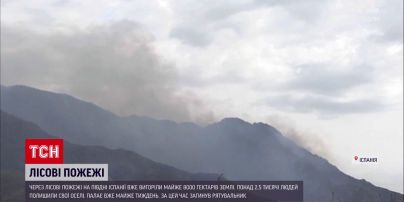 Новости мира: лесные пожары в Испании за неделю уничтожили почти 8 тысяч гектаров земли