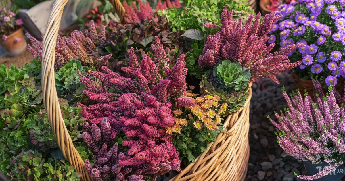 Гороскоп на жовтень 2024 року