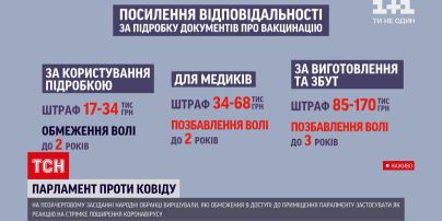 "Червона зона" – депутати вирішували, кого та на яких умовах пускати до приміщення Верховної Ради