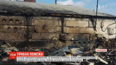 Крупный пожар под Харьковом: горели склады, где выращивают шампиньоны