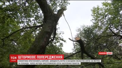 Западные области приходят в себя после разрушительного урагана
