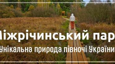 Міжрічинський парк