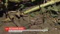 На Полтавщині розбився мотодельтаплан з двома людьми