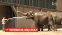 Європейські зоопарки рятують тварин від спеки водою та крижаними смаколиками