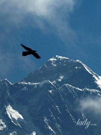 Гороскоп на 9–15 лютого 2026 року