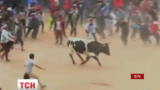 Восьмеро людей постраждали в Перу у перший день фестивалю биків