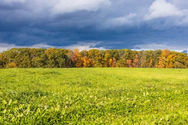 Народні прикмети 27 вересня / © pexels.com