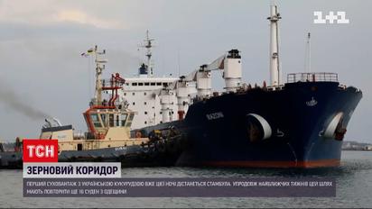 Первый сухогруз с украинской кукурузой успешно прошел "зерновой коридор"