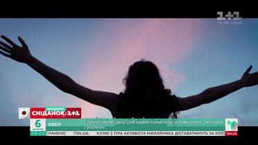 Звездная история голливудской актрисы украинского происхождения Ольги Куриленко