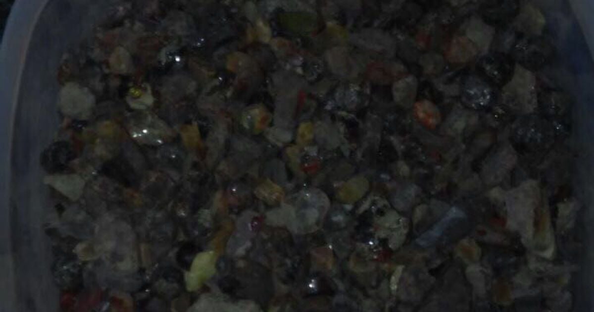 сбу викрила бурштинокопачів_2 / © Прес-центр СБУ