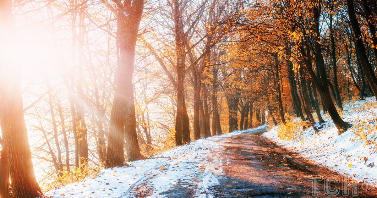 Гороскоп на 28 листопада