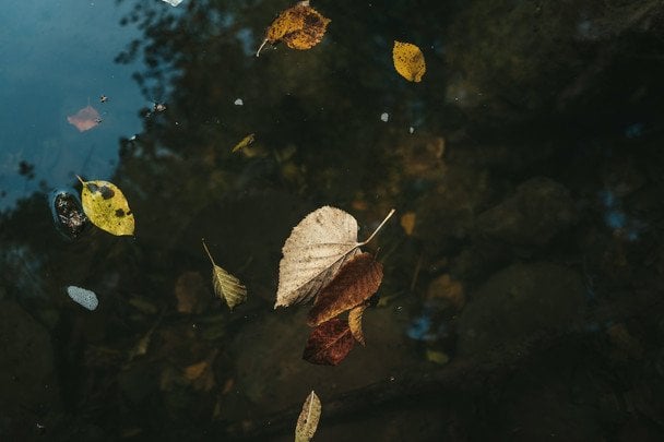 Народні прикмети 18 вересня / © unsplash.com