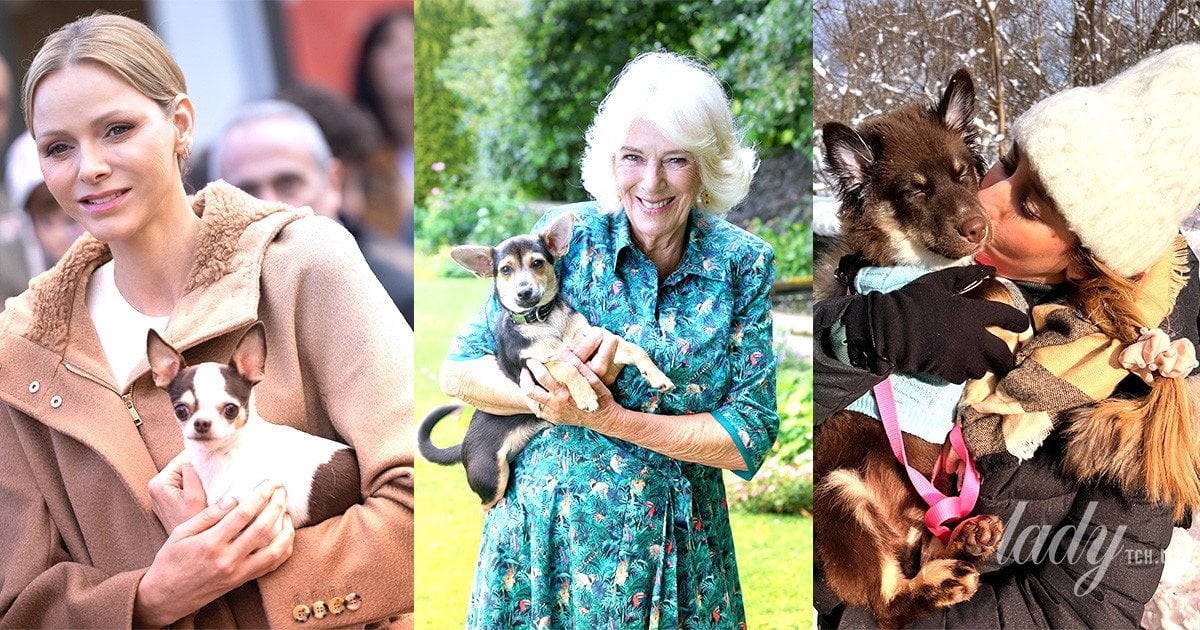 Княгиня Шарлін, королева Камілла, Жасмін Грімальді