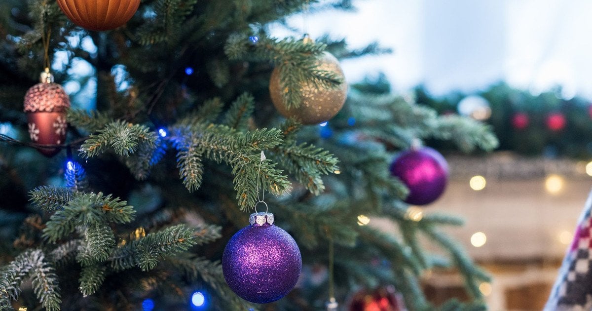 Щоб ялинка стояла довго