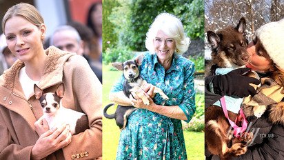 Княгиня Шарлин, королева Камилла, Жасмин Гримальди