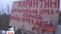 На Рівненщині спалахнула африканська чума свиней