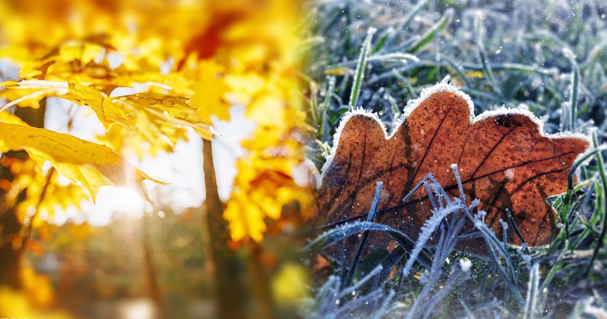 В Україні різко зміниться погода: чого очікувати вихідними