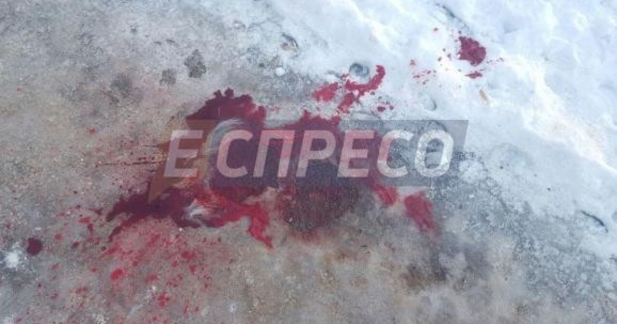В Киеве прямо посреди улицы убили девушку