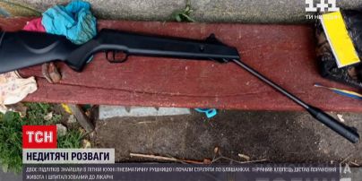 Новини України: у Житомирській області 13-річний підліток підстрелив свого 11-річного друга