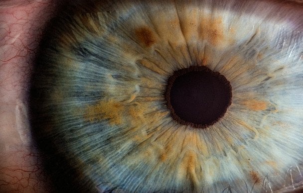 28 вересня Всесвітній день сітківки / © unsplash.com