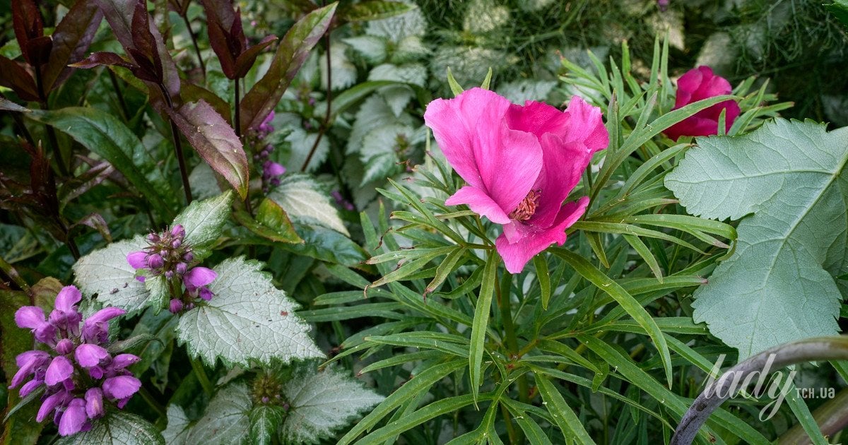 Весняний чек-лист садівника