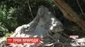 В ботаническом саду Кременца открыли экспозицию "Трон природы"