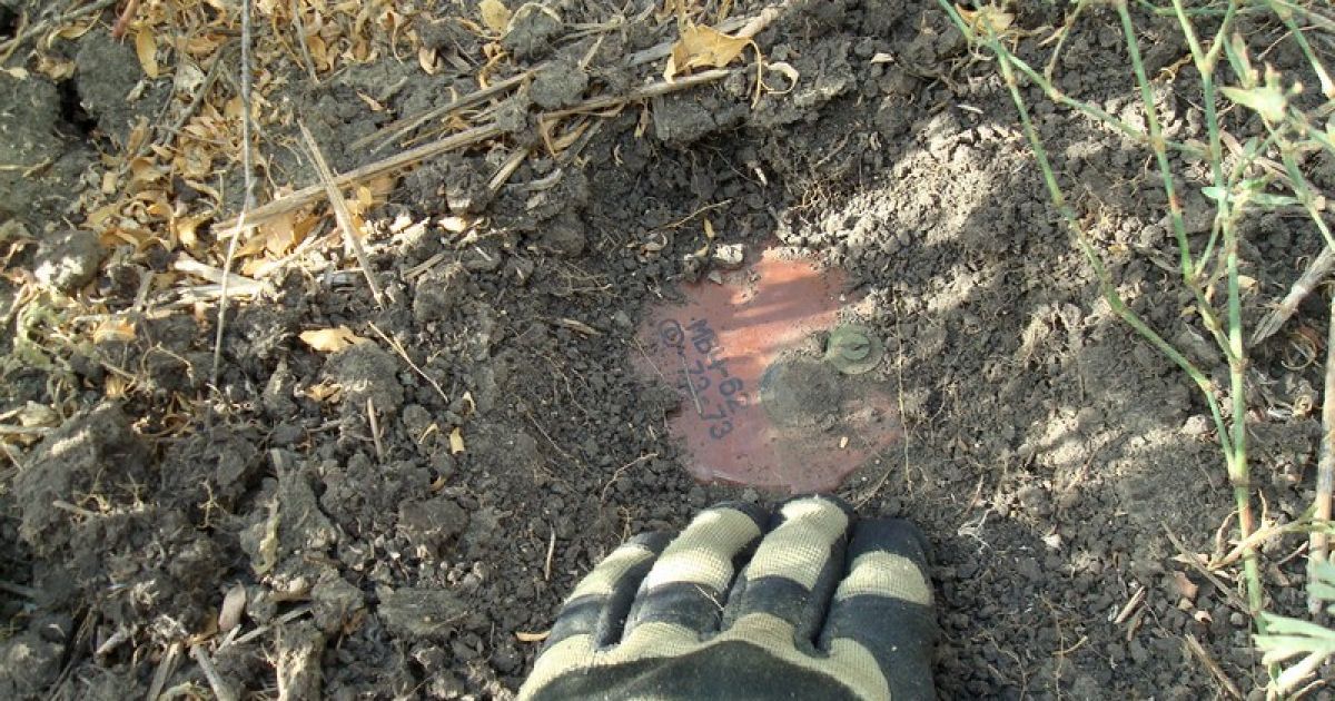 Под Мариуполем разминировали "адское поле" / © Минобороны Украины