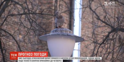 Весна поза розкладом: у Києві зафіксували абсолютний температурний рекорд