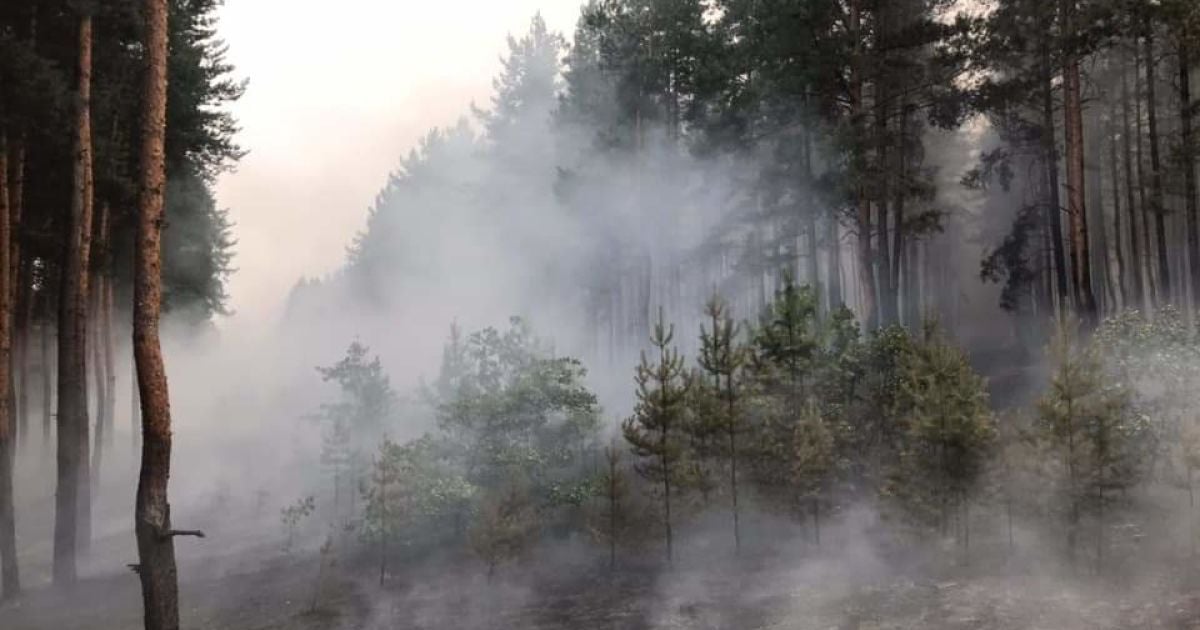 Через обстріл бойовиків у Луганській області спалахнула лісова пожежа