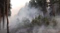 Из-за обстрелов боевиков в Луганской области вспыхнул лесной пожар