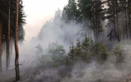 В Гослесагентстве назвали сумму ущерба от лесного пожара в Луганской области