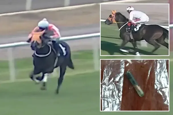  / © twitter.com/TheSun