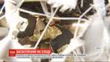 Бойовики на Донбаcі 14 разів обстріляли позиції українських захисників
