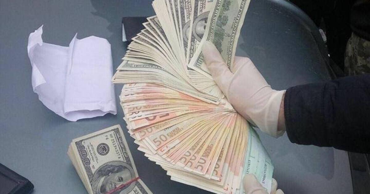 Носили руководству десятки тысяч евро: на Ровенщине задержали 10 человек в "лесном деле"
