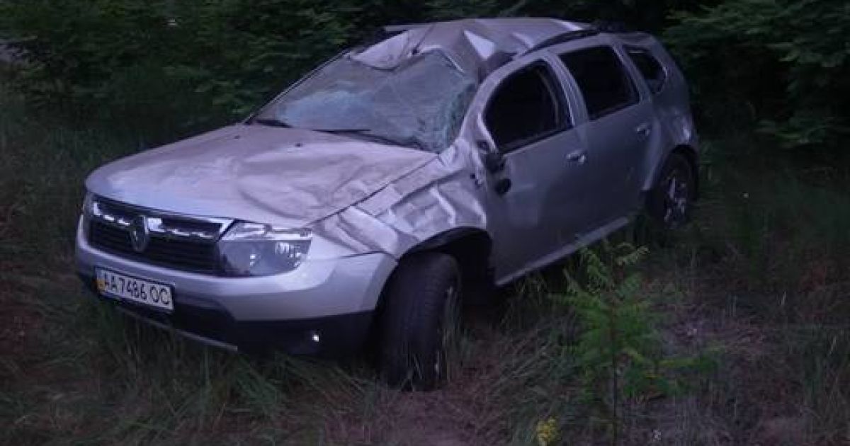 Автомобиль Renault сильно пострадал в ДТП с лосем