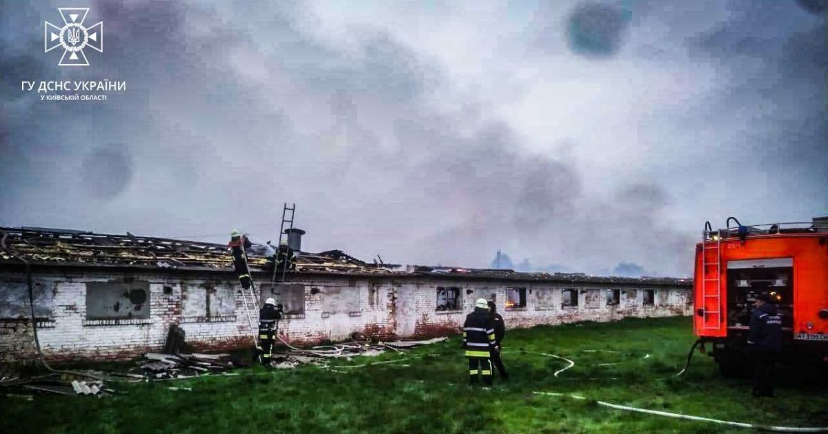 Під Києвом у пожежі загинула тисяча курей: фото