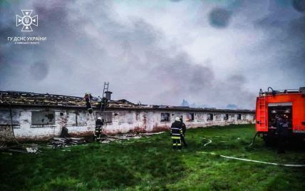 Под Киевом в пожаре погибла тысяча кур: фото
