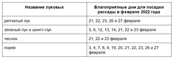 Посевной календарь на 2022 год: таблица на февраль для луковых / © 