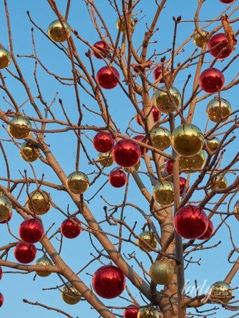 Гороскоп на 5 грудня