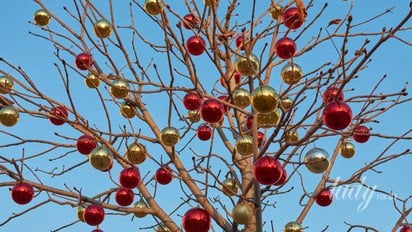 Гороскоп на 5 декабря