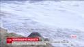На тихоокеанском побережье Мексики заметили тысячи оливковых черепах