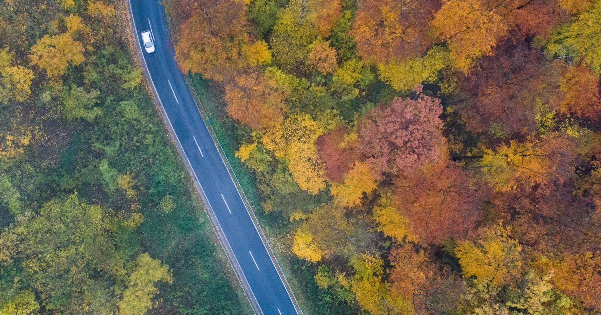 15 ноября 2020 года: какой сегодня праздник, приметы и День ангела