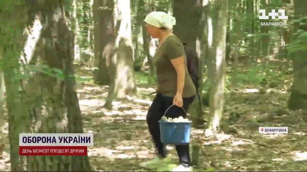 Збирання грибів