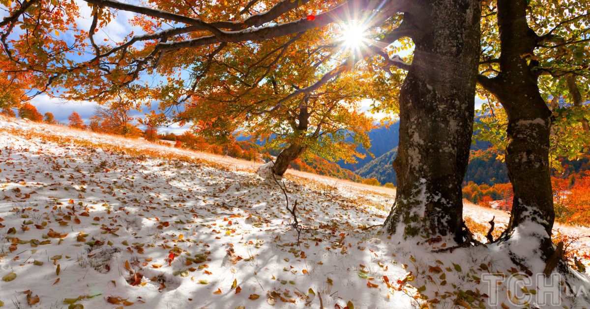 Гороскоп на 28 ноября для всех знаков Зодиака