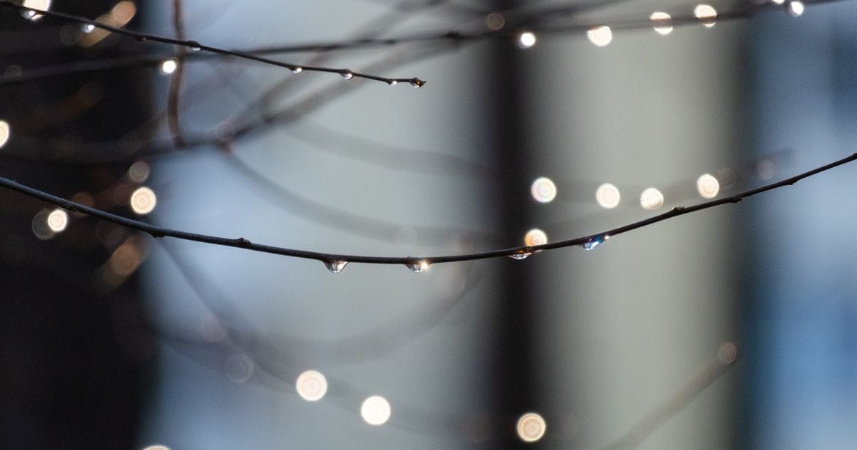 Прогноз погоди 20 квітня: до України прийшло похолодання з дощами