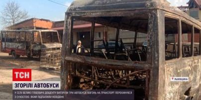 Новости Украины: во Львовской области неизвестные подожгли траву, а сгорели три частных автобуса