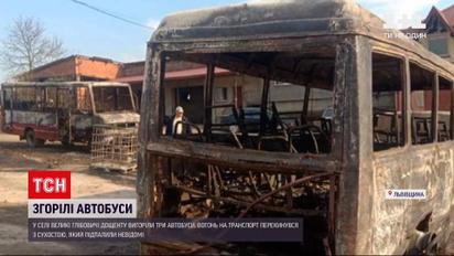 Новини України: у Львівській області невідомі підпалили траву, а згоріли три приватні автобуси