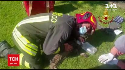 Новини світу: італійські пожежники врятували кота непрямим масажем серця