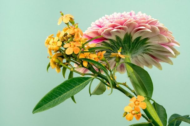 День ангела 27 липня — душевні привітання в прозі / © unsplash.com