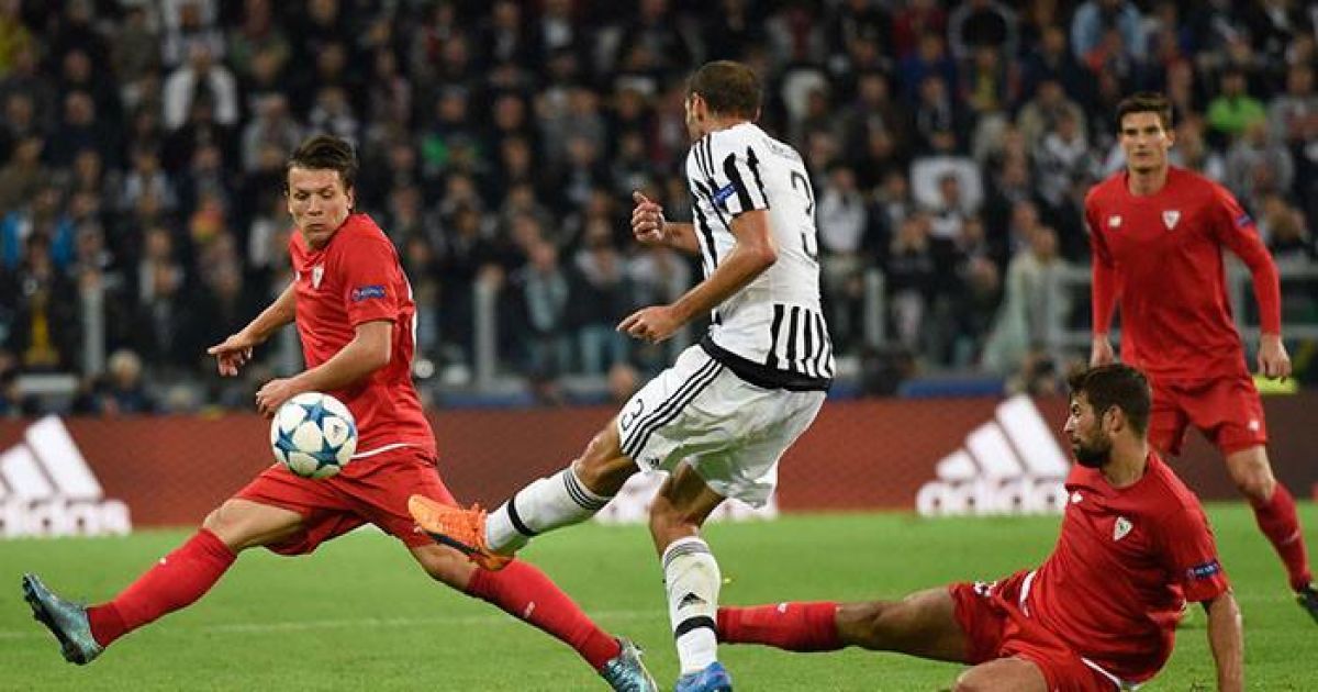 Коноплянка будет в основе, когда станет совершенным.